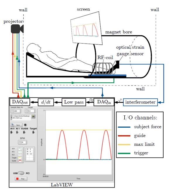 Experimental Setup